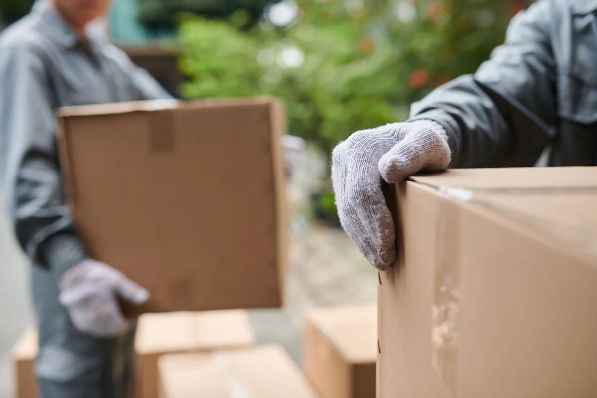 Quality Boxes, Delivered Tomorrow